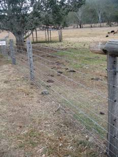 ELECTRIC FENCING FOR CATTLE, HORSES, SHEEP AMP; POULTRY