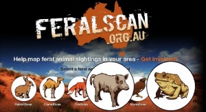 Small farmers can now map feral pests using FeralScan | Farmstyle Australia
