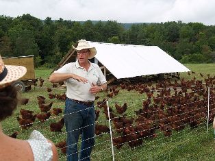 Permaculture | Sustainable Agriculture | Joel Salatin farming methods