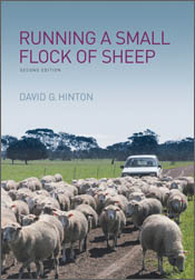 Running a small flock of sheep