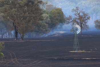 Bushfire management